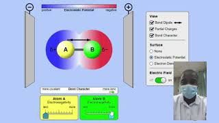 Molecule Polarity Simulation  Science Experiment  Virtual Lab Simulation [upl. by Letsyrhc544]