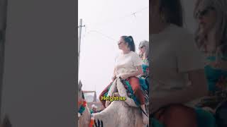 Camel Fair Pushkar Rajasthan [upl. by Neelsaj]