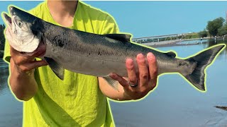 Sockeye SALMON Fishing WASHINGTON State [upl. by Hillyer]