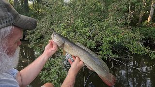 Bass and Grinnell Fishing in Dennis Lake Mobile Tensaw Delta [upl. by Eisinger]