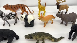 Toy Animals for Toddlers Zoo Animals Figures [upl. by Shantee]