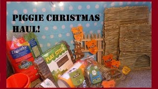 Squeak Dreams Guinea Pig Christmas Haul Pets at Home amp Jollyes [upl. by Ayidah478]