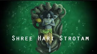 Shri Hari Stotram  Meaning in Hindi [upl. by Hsivat283]