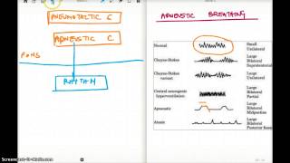 APNEUSTIC BREATHING [upl. by Jerrine]