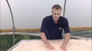 Propagation How to create a misting propagation bench part 1 [upl. by Gove197]