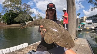 Noosa and Maroochy River Fishing  Trevally and Big Flathead [upl. by Toinette]