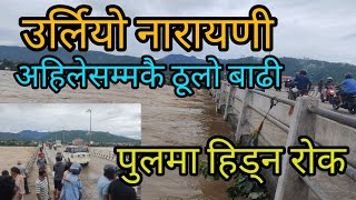 उर्लियाे नारायणी  अहिलेसम्मकै ठुलो बाढी । पुलमा हिड्न राेक  Naryani River Flood [upl. by Lull704]