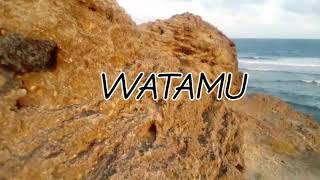 Wonders of Watamu Beach [upl. by Aidaas227]