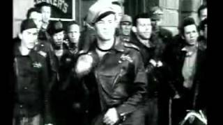 THE WILD ONE 1953 Trailer [upl. by Balsam702]