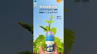 RANMAN डाऊनी मिल्ड्यूसाठी UPL SAS चे न1 बुरशीनाशक grape द्राक्षशेती agriculture uplindia9284 [upl. by Kinnon]