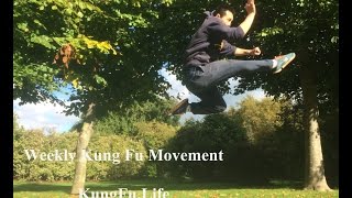 Shaolin Combination Kicks Flick Kick amp Jumping Kick Cai Jiao amp Er Ti Jiao [upl. by Moseley]