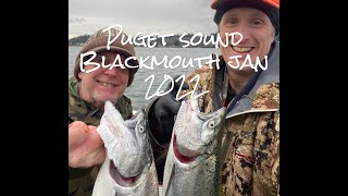 Puget Sound Winter Chinook Blackmouth 2022 [upl. by Magner]