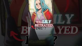 Why LILY Betrayed IMU  onepiece anime shorts shortvideo short shortsvideo viralvideo shots [upl. by Ailahk]