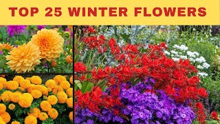 Winter flowering plants  25 best annual flowers in Pakistan  How To Grow Winter Flower [upl. by Loralyn]