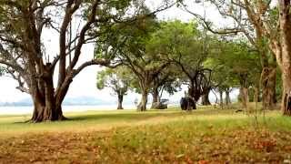 Aitken Spence video [upl. by Sueahccaz]