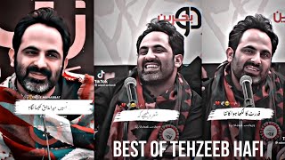 Best of Tehzeeb Hafi Poetry Poetry CompilationSad Shayari🍂❤️Poetry Compilation Part 2 [upl. by Oribella]