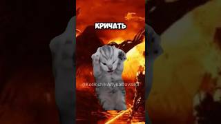 Кот Обманул Демона🔥 мемныекоты кот коты мем мемы рекомендации рек [upl. by Ellirpa]