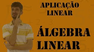 Introdução a Aplicação Linear e Matrizes [upl. by Refotsirhc]