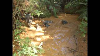 2º Cia de Fuzileiros Leve VANGUARDEIRA em Ralo da Boina [upl. by Oberon]