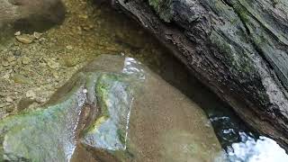 20240721  Silver Creek Conservation Area Clip Compilation [upl. by Mahon]