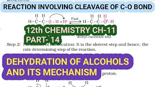 12th Chemistry Ch11Part14Dehydration of Alcohol amp its mechanismStudy with Farru [upl. by Ayoras645]