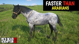 4 Horses faster than Arabains amp How to obtain them  Red Dead Redemption 2 [upl. by Yenittirb836]