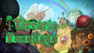 Were after the king himself  Terraria Tuesdays [upl. by Kalfas271]