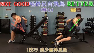 How to avoid body shaking by reverse fly 啞鈴反向飛鳥 核心 1技巧減少軀幹晃動 身體趴在臥推椅上【RobertPig蘿蔔豬 2023 EP13】 [upl. by Cacilie]