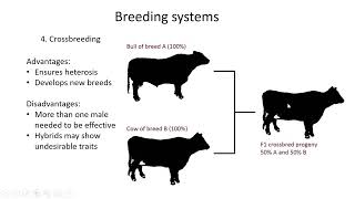 Animal genetics Lesson 5 [upl. by Ariam]