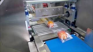 Flow Pack Horizontal Packaging Machine for Food Products [upl. by Puri499]