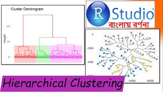 Hierarchical clustering in RStudio Tutorial 414  Machine Learning  In Bengali [upl. by Atiz93]