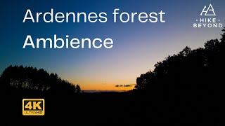 4k Ardennes forest amp outdoor ambience in Belgium Beautiful sceneries in the last days of summer [upl. by Roinuj]