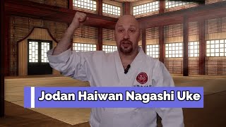 Jodan Haiwan Nagashi Uke  The Shotokan Chronicles [upl. by Patricio]