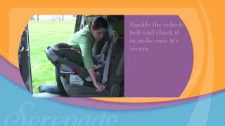 Car Seat Installation Evenflo Serenade™ Infant Car Seat [upl. by Ydderf384]