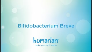 Bifidobacterium Breve [upl. by Anselma999]