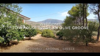 Welcome to a house inside an olive grove  Ligourio Argolis Greece [upl. by Burns]