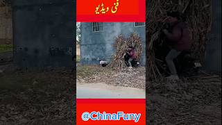 Kwai Funny Videos 2021 Chinese Funny Video try not to laugh short How to make Chinese funny video [upl. by Yrojram158]