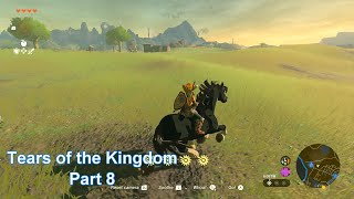 Tears of the Kingdom part 8 Walkthrough [upl. by Anivek]