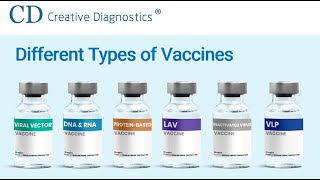 Different Types of Vaccines  Creative Diagnostics [upl. by Aisha685]