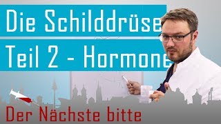 Der DocPod  Schilddrüse 2  Was machen die SchilddrüsenHormone mit uns [upl. by Kev]