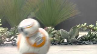 08 SPHERO BB8 BRANDFOLDER VIDEO HD [upl. by Adnwahsal811]