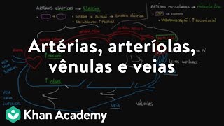 Artérias arteríolas vênulas e veias [upl. by Mirabella]