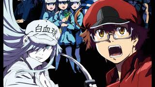 Hataraku Saibou Black OP Cells at Work Code Black [upl. by Itak96]