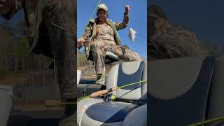 White perch on Lake Wateree Rainoutdoors fishing [upl. by Wallach110]