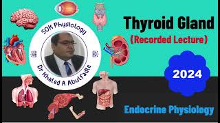 Thyroid gland physiology 22024 by Dr Khaled A Abulfadle [upl. by Michel]