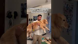 The Neediest Dog On YouTube 👀dog dogs doglover doglife cutedog pets petlover goldenretriever [upl. by Yenar]