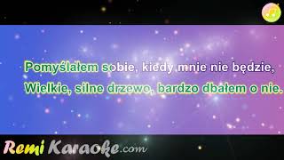 Perfect  Wyspa drzewo zamek karaoke  RemiKaraokecom [upl. by Prem142]