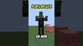 Jai troll ce joueur de mon serveur en me déguisant en mob [upl. by Gipps]