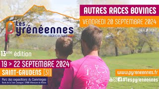 quotLes Pyrénéennes 2024  Ring 1  Autres races bovines  20092024quot [upl. by Halbert]