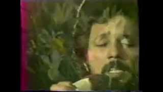 DARIUSH 1977 1356 CONCERT TEHRAN IRAN [upl. by Anitnahs]